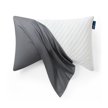 Silver Grey Pillow Case